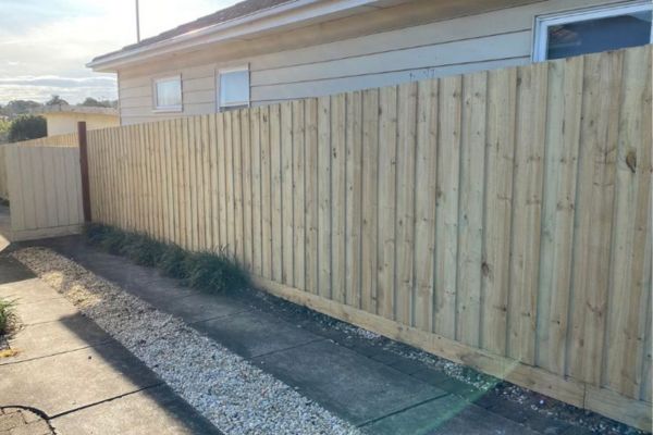 lapped and capped timber boundary fence Caringbah